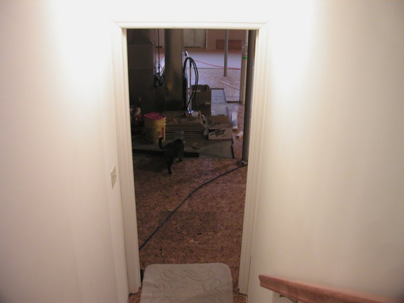 basement0005_01172006.jpg