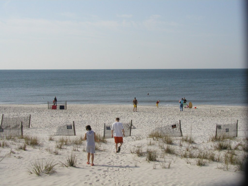 gulfshores20080005.jpg