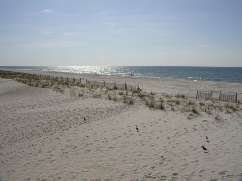 gulfshores20080053.jpg