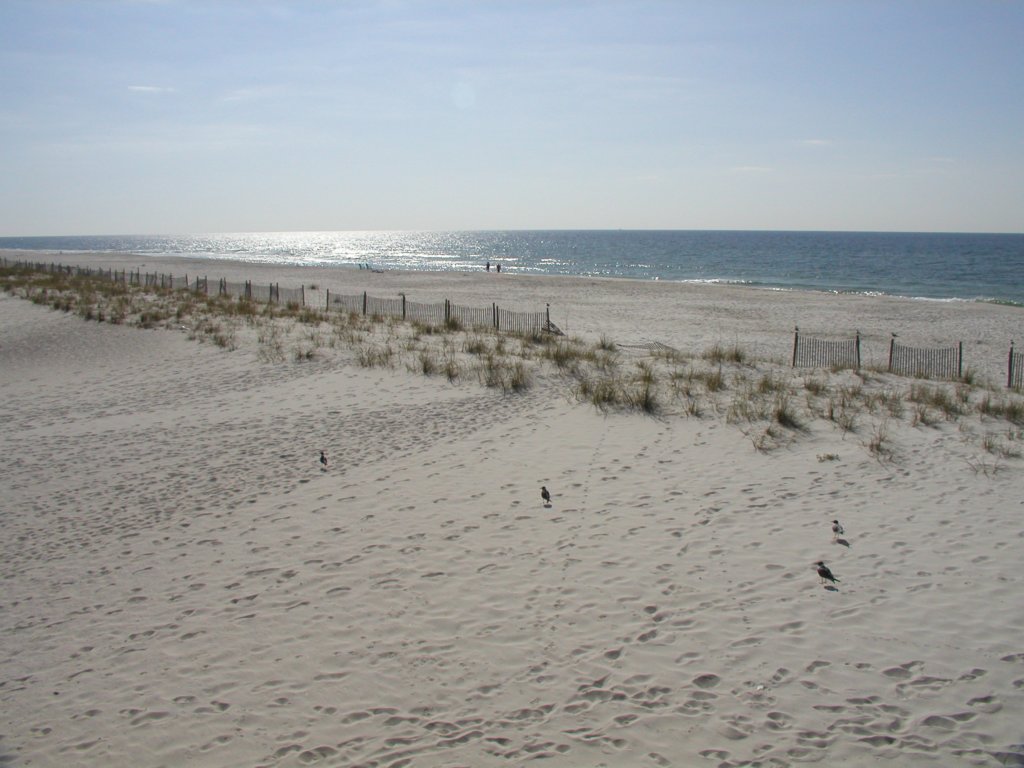 gulfshores20080054.jpg