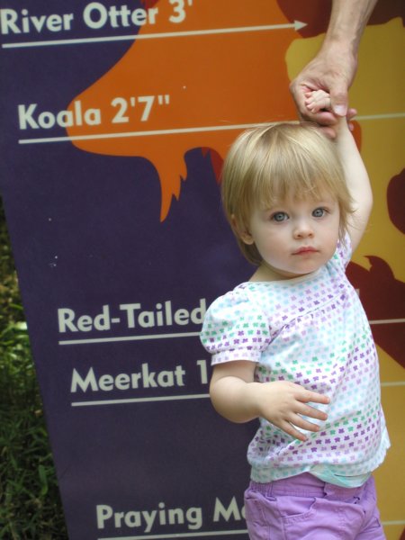 kaylin15months0029.jpg