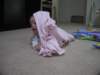 kaylin4months0029_small.jpg