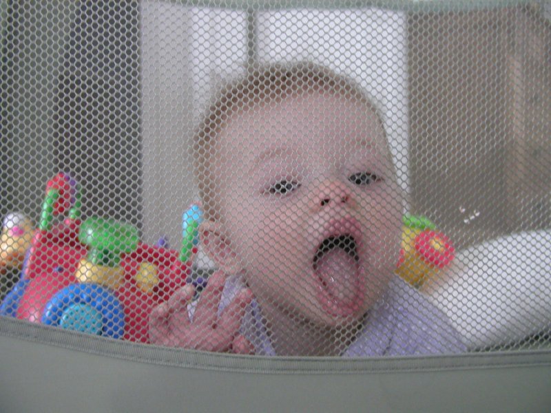 kaylin6months.jpg
