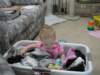 kaylin6months0004_small.jpg