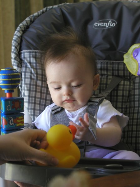 kaylinandelise2009050071.jpg